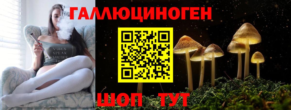 Галлюциногенные грибы Psilocybine cubensis Корсаков